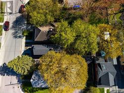 Mature trees - 
