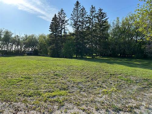 54090 Pr 424  Hwy Rd, Springstein, MB 