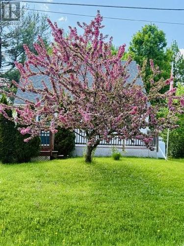 14 Cutler Avenue, Spanish, ON 