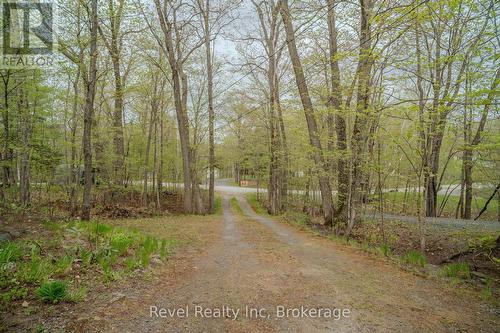Dving way - 14 Swallow Road, Mcdougall, ON - Outdoor With View
