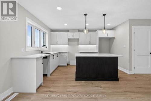 34 Postma Crescent, North Middlesex (Ailsa Craig), ON - Indoor Photo Showing Kitchen With Upgraded Kitchen
