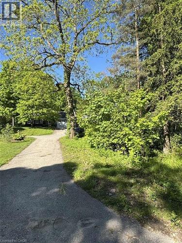 34 Mcdougall Road, Waterloo, ON 