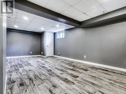 basement living - 