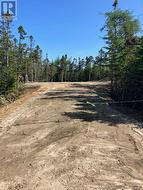 Lot No. 36 Goose Pond Whitbourne, NL A0B 0C2