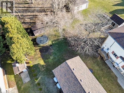 Expansive rear yard featuring mature trees, established evergreen landscaping, and a detached shed structure - 9 Cherry Street, Simcoe, ON - Outdoor