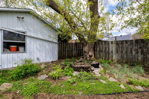 Cour - 55 Av. Madsen, Beaconsfield, QC - Outdoor