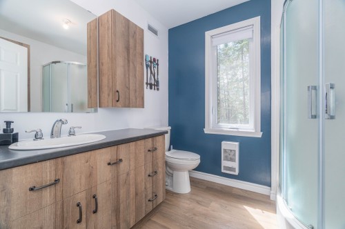 Bathroom - 42 Ch. Raphaël, Nominingue, QC - Indoor Photo Showing Bathroom