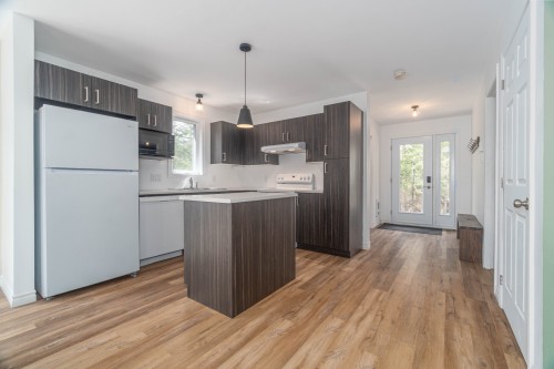 Kitchen - 42 Ch. Raphaël, Nominingue, QC - Indoor Photo Showing Kitchen