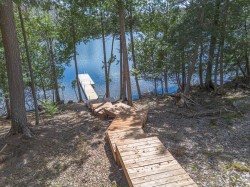 Bord de l'eau - 