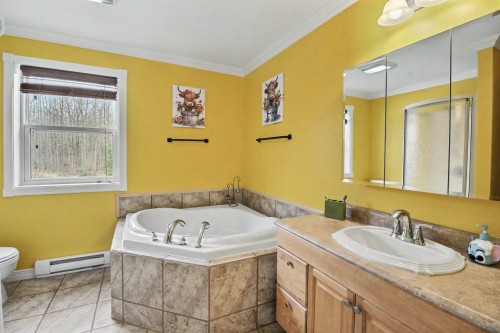 Salle de bains - 1038 Ch. Bergeron, Rouyn-Noranda, QC - Indoor Photo Showing Bathroom