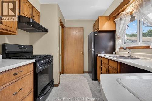 35 Peter Street, Chatham, ON - Indoor Photo Showing Kitchen With Double Sink