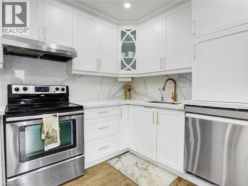209 Briarmeadow Drive, Kitchener, ON - Indoor Photo Showing Kitchen With Upgraded Kitchen