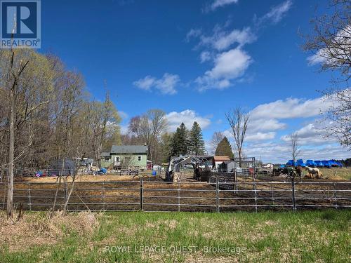 Backyard View, Neighbour's Horses - 1180 Canning Road, Gravenhurst, ON - Outdoor With View