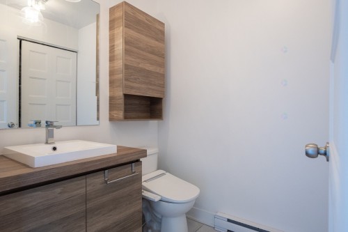 Salle d'eau - 204-83 Ch. Des Îles-Yale, Saint-Eustache, QC - Indoor Photo Showing Bathroom