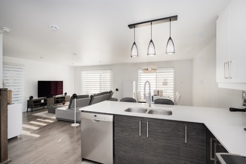 Cuisine - 204-83 Ch. Des Îles-Yale, Saint-Eustache, QC - Indoor Photo Showing Kitchen With Double Sink