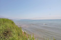 Bord de l'eau - 