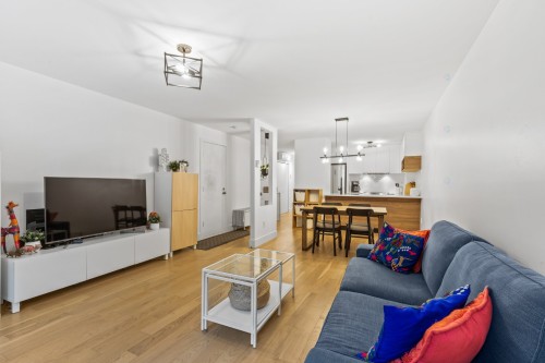 Living Room - 202-5415 Rue Drolet, Montréal (Le Plateau-Mont-Royal), QC - Indoor Photo Showing Living Room