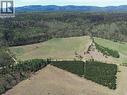 6580 Quesnel Hydraulic Road, Quesnel, BC  - Outdoor With View 