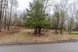 70 VILLAGE HILL ROAD Huntsville (Stephenson), ON P0B 1L0