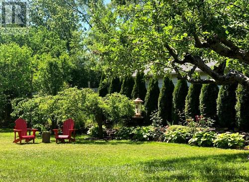 Last Year Pictures - 32 Durham Road, Hamilton, ON - Outdoor
