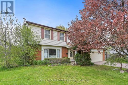 56 CAVENDISH CRESCENT  Brampton, ON L6T 1Z4