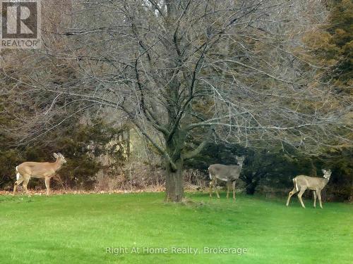 1483 Fifth Ave Louth, St. Catharines (Rural Fourth), ON - Outdoor