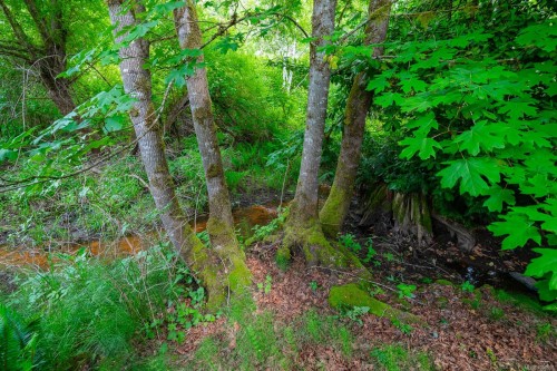 5801 Compton Rd, Port Alberni, BC 