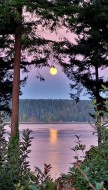 241 Carnegie St Campbell River, BC V9W 2J4