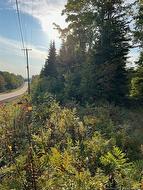 Lot 24-1 Rte 3 Harvey, NB E6K 1T3