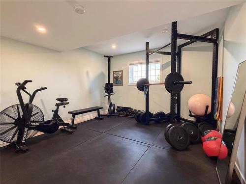 348 Hoops Loop Road, Shilo, MB - Indoor Photo Showing Gym Room