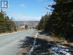 143-163 High Road South Highway S Carbonear, NL A1Y 1A4