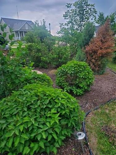 11 Spillway Cove, St Malo, MB 