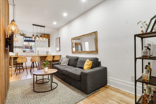 Salon - 1471 Rue Plessis, Montréal (Ville-Marie), QC - Indoor Photo Showing Living Room
