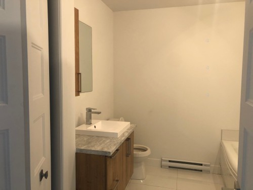 Bathroom - 1681 Rue Balmoral, Longueuil (Saint-Hubert), QC - Indoor Photo Showing Bathroom
