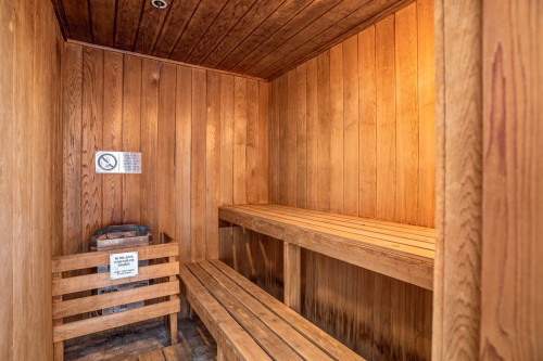 Sauna - 304-370 Rue St-André, Montréal (Ville-Marie), QC - Indoor Photo Showing Other Room