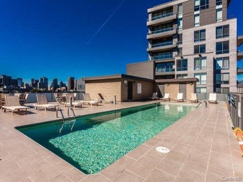 Piscine - 304-370 Rue St-André, Montréal (Ville-Marie), QC - Outdoor With In Ground Pool