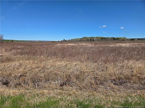 Lot Anderson Mill Rd, Memramcook, NB 