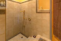 Ensuite Shower - 