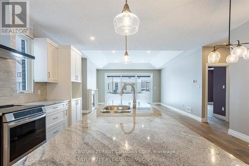 Lot 105 Darwin Crescent, London South (South V), ON - Indoor Photo Showing Kitchen With Double Sink With Upgraded Kitchen