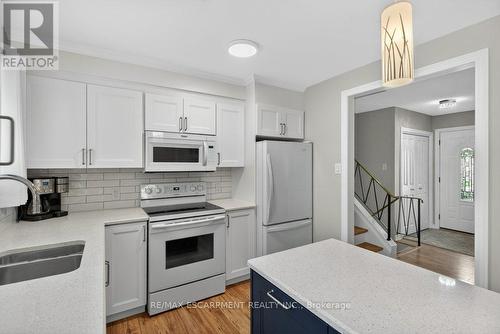 4 Camelot Drive, Hamilton, ON - Indoor Photo Showing Kitchen With Double Sink