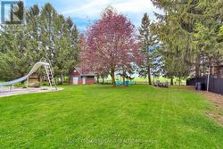 Back Yard - 