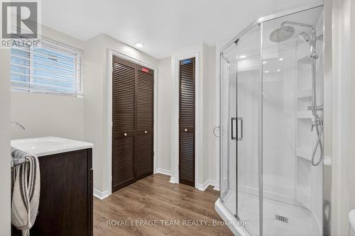 Lower level bathroom - 196 Prince Albert Street, Ottawa, ON - Indoor Photo Showing Bathroom