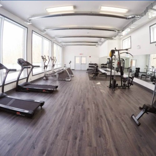 Salle d'exercice - 402-1021 Mtée Champagne, Laval (Sainte-Dorothée), QC - Indoor Photo Showing Gym Room