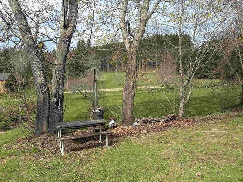 99 Williams Road, Hopewell, NS 