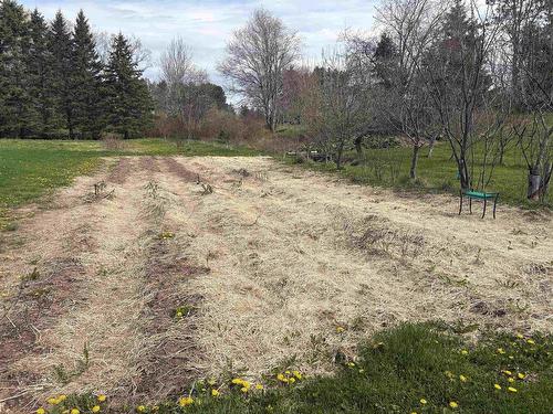 99 Williams Road, Hopewell, NS 
