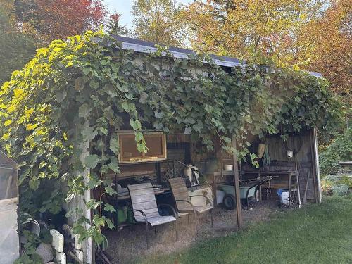 99 Williams Road, Hopewell, NS 