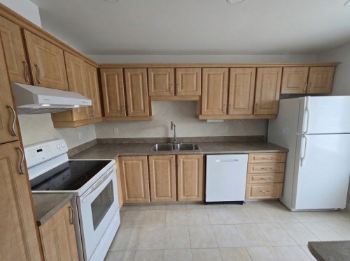 Kitchen - 305-5221 Rue Riviera, Montréal (Pierrefonds-Roxboro), QC - Indoor Photo Showing Kitchen With Double Sink