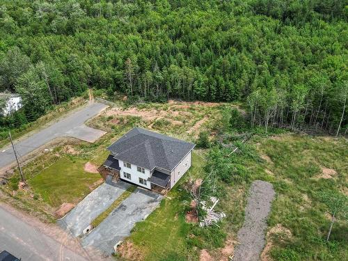 135 Blainedale Drive, Salmon River, NS 