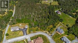2 Stretton's Hill Harbour Grace, NL A0A 2M0
