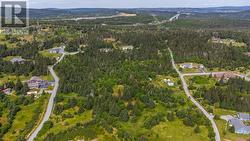 0 Cottage Lane Harbour Grace, NL A0A 2M0